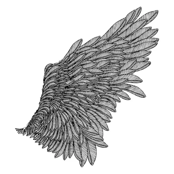 Урожай крило малювання — стоковий вектор