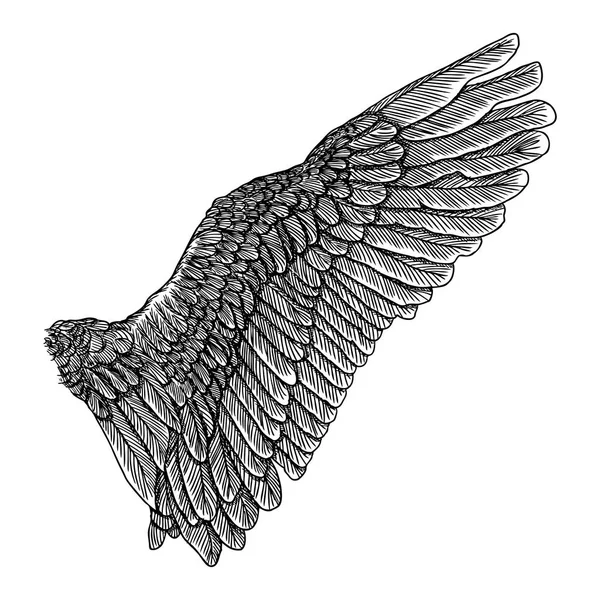 Vintage kanat çizim