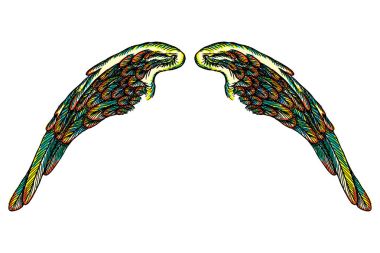 Çift renkli kartal kuş veya melek kanatlarını. 