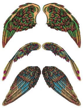 Ve güzel melek ya da kuş renkli kanatlar. 