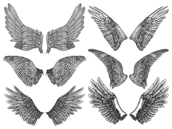 Conjunto de alas heráldicas para el tatuaje y el diseño de mascotas . — Vector de stock