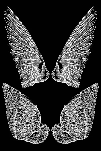 Ensemble ailes d'ange ou d'oiseau . — Image vectorielle