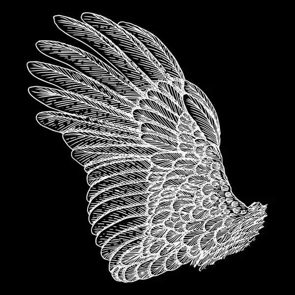 Винтажное птичье крыло . — стоковый вектор