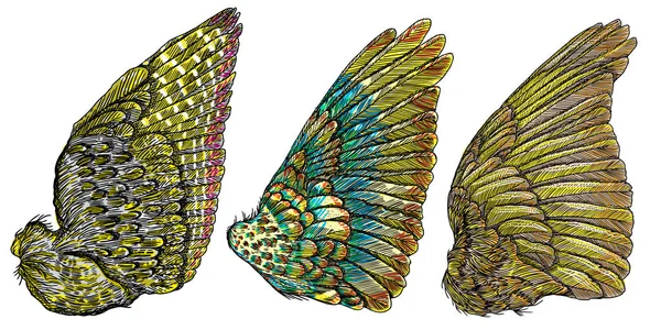 Uppsättning av ängel eller fågel färgglada vingar. — Stock vektor