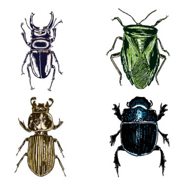 İzole set çizim böcek noktalarla renk. 