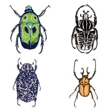 İzole set çizim böcek noktalarla renk. 