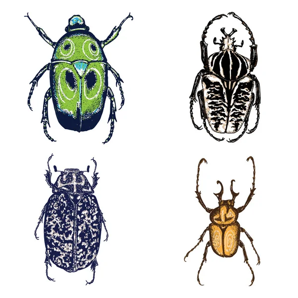 İzole set çizim böcek noktalarla renk. 