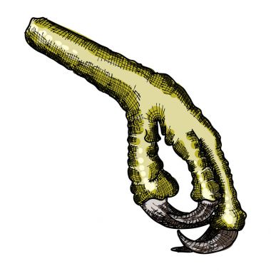 Çizim stilize kuş feet, yapım yılı. 