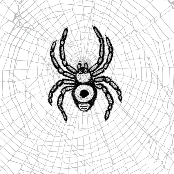 Handgezeichnete Spinne im Netz. — Stockvektor