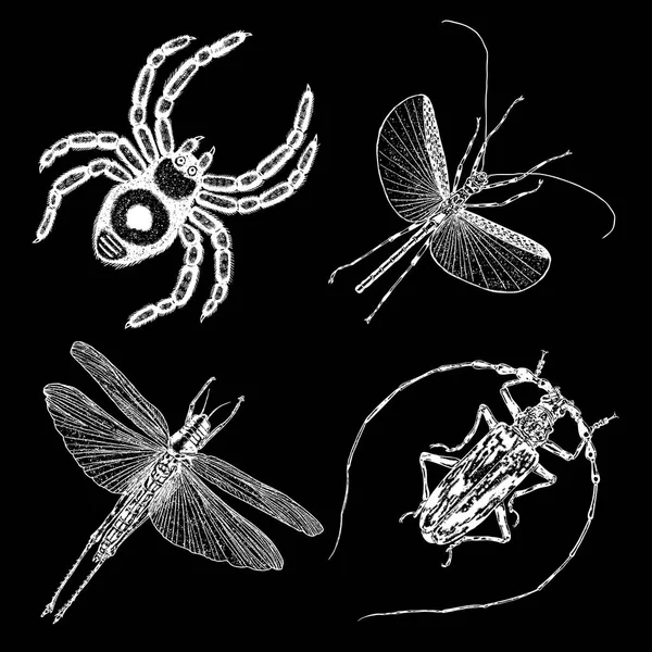 Böcekler ve hata koleksiyonu