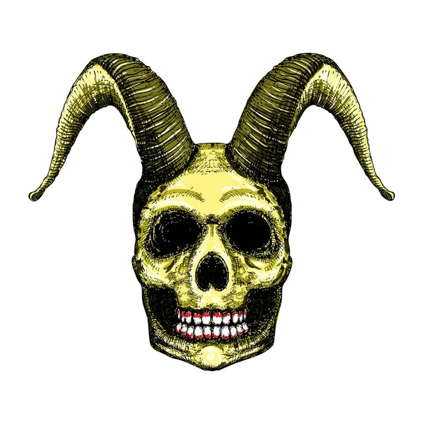 Crâne avec cornes. — Image vectorielle