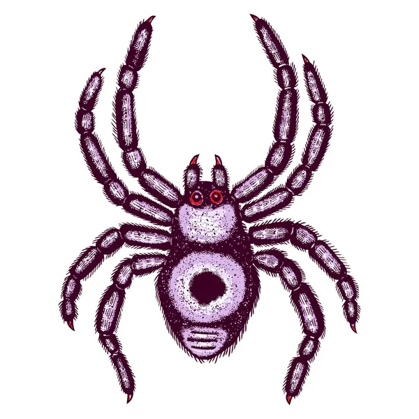 Halloween colour spider — Stock Vector