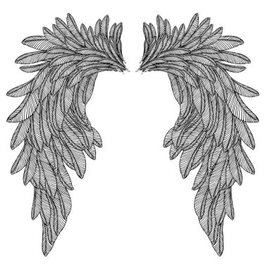 Çift elle çizilmiş vintage kanatlar. 