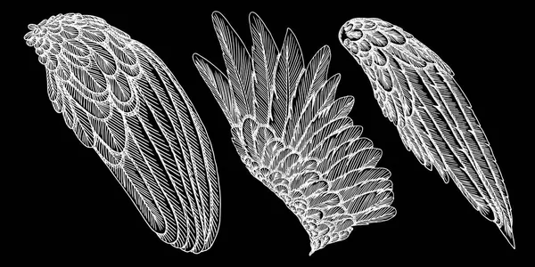 El çizimi kuş kanatları çekilmiş