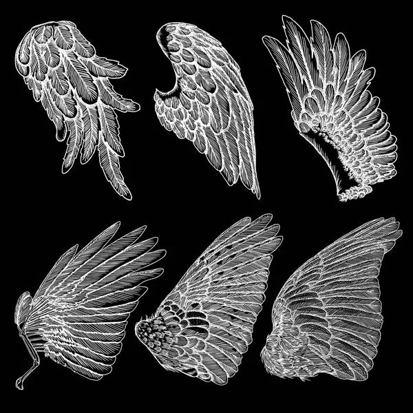 Elle çizilmiş vintage melek ya da kuş kümesi kanatlar. 
