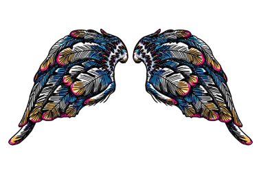 Beyaz arka plan üzerinde izole vintage renkli kanatlar. 