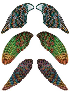 Ve güzel melek ya da kuş renkli kanatlar. 