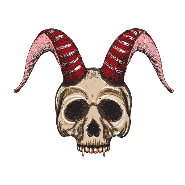 Crâne avec cornes. — Image vectorielle
