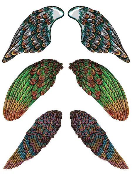 Ensemble d'ailes colorées d'ange ou d'oiseau . — Image vectorielle