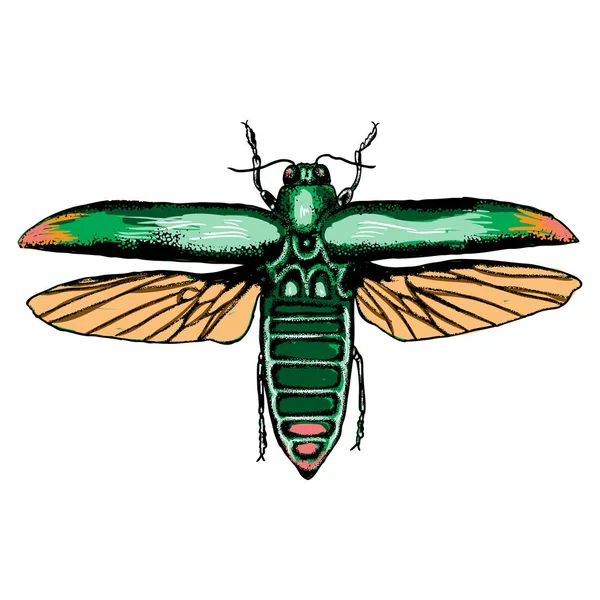 Cadılar Bayramı için izole renkli çizim böcek noktalarla. 