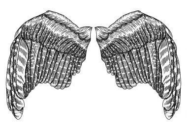  Siyah beyaz kuş ve Melek kanatları açık pozisyonda dizi 