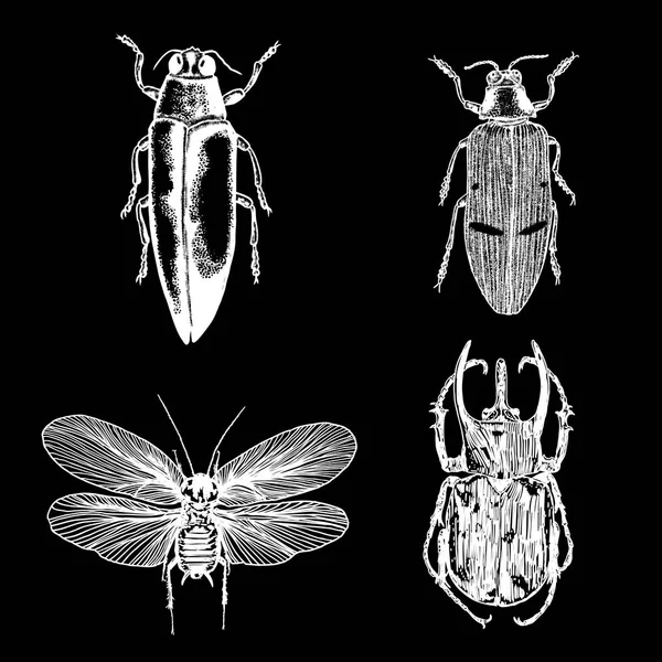 図面セットは、分離された昆虫の点描. — ストックベクタ