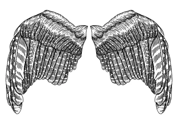 Schwarzer weißer Vogel und Engelsflügel in offener Position — Stockvektor