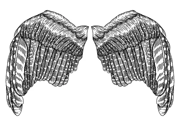 Набор крыльев черной белой птицы и ангела в открытом положении — стоковый вектор