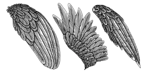 Ręcznie rysowane szczegółowe ptak skrzydła kolekcji. — Wektor stockowy