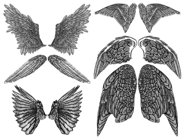 Conjunto de pares de asas. Mão desenhado pássaro detalhado e asas de anjo . — Vetor de Stock