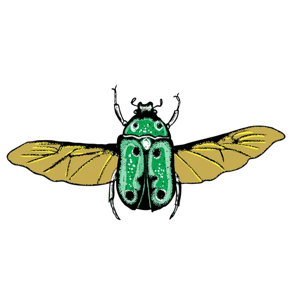 Dibujo de puntada de insecto aislado en color para Halloween . — Vector de stock