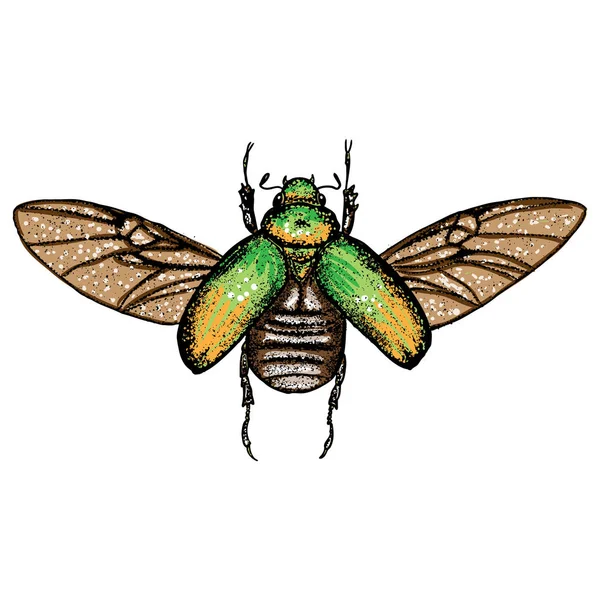 Dibujo de puntada de insecto aislado en color para Halloween . — Vector de stock