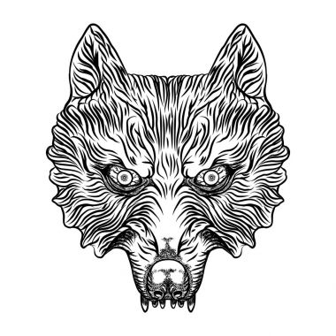 kızgın bir kurt kafası. 