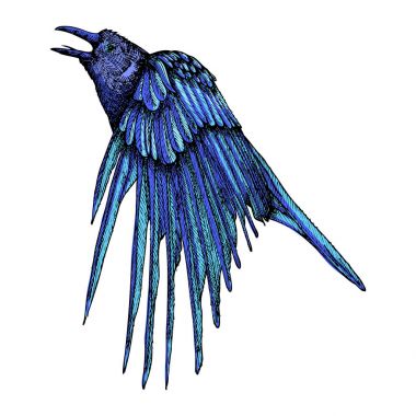 Cadılar Bayramı için illüstrasyon. 