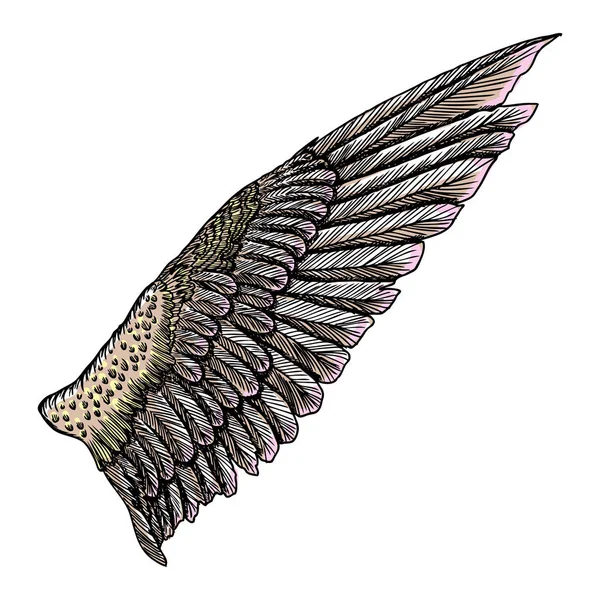 Colorato singolo uccello aquila o angelo ala . — Vettoriale Stock