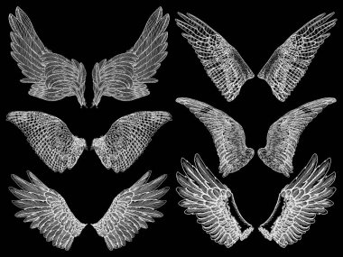 Ve güzel kanatlar yaymak. 