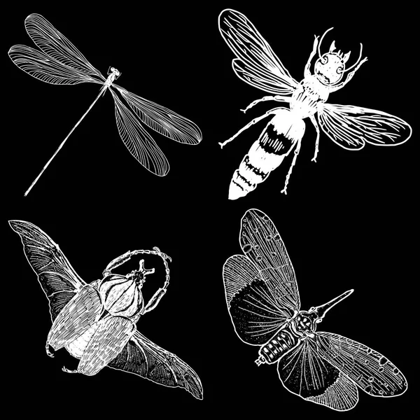 Böcekler ve hata koleksiyonu