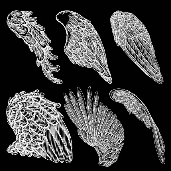 手工绘制的老式天使或鸟的翅膀套. — 图库矢量图片