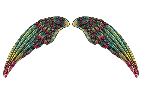 Çift renkli kartal kuş veya melek kanatlarını. 
