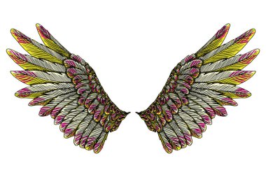 Ve güzel renkli kuş kanatlar 