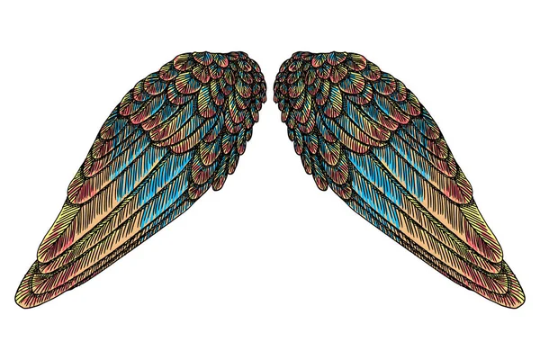 组的五彩鸟的翅膀 — 图库矢量图片