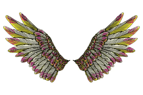 Набор красочных птичьих крыльев — стоковый вектор