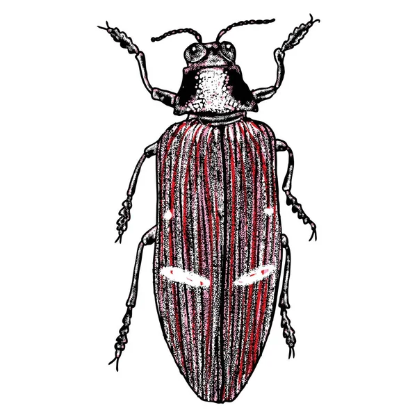 Desenho de bug desenhado à mão — Vetor de Stock