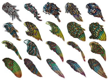 Ve güzel melek ya da kuş renkli kanatlar. 