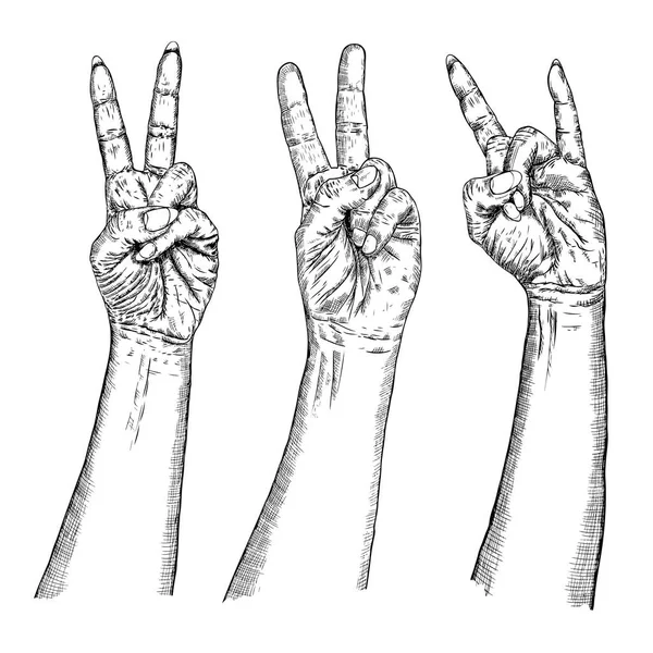 Жест установлен. Мужские и женские руки с различными признаками . — стоковый вектор