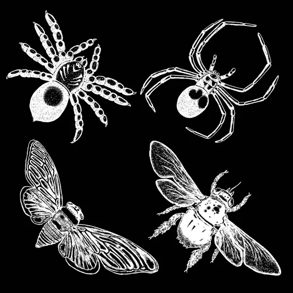 Insect stipple drawing set isolated. — Stock Vector