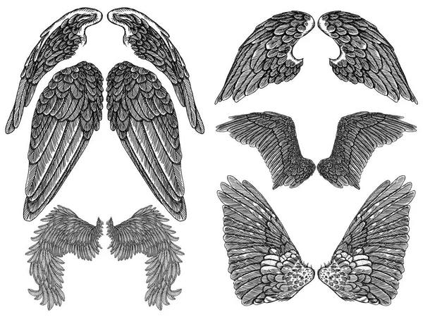 紋章の翼のタトゥーとマスコットのデザインの設定. — ストックベクタ