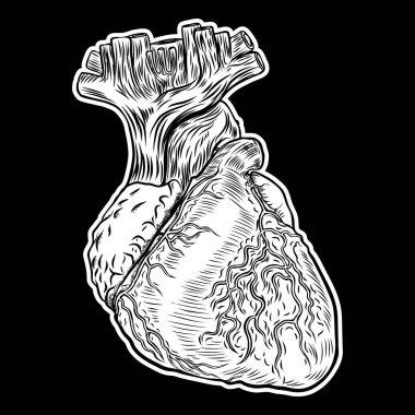 Beyaz ve siyah insan elinde çizilmiş stil kalp. 