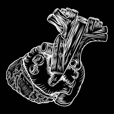 Anatomik kalp elle çizilmiş 