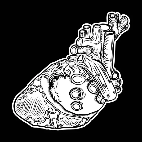Corazón humano blanco y negro en estilo dibujado a mano . — Vector de stock